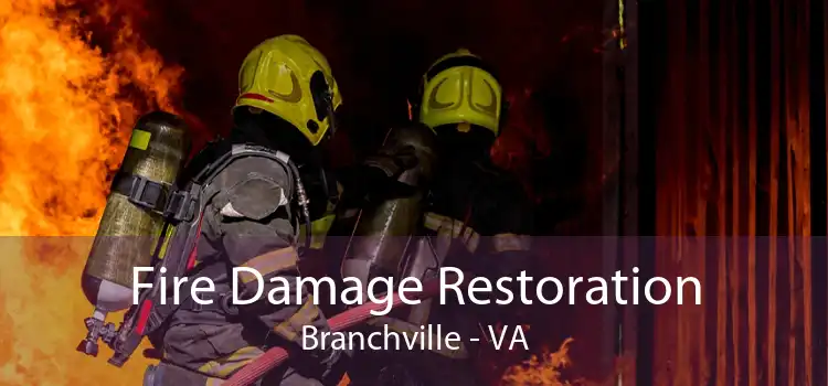 Fire Damage Restoration Branchville - VA