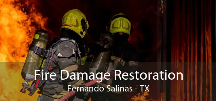 Fire Damage Restoration Fernando Salinas - TX