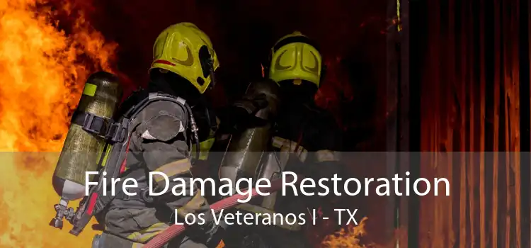 Fire Damage Restoration Los Veteranos I - TX