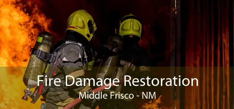 Fire Damage Restoration Middle Frisco - NM