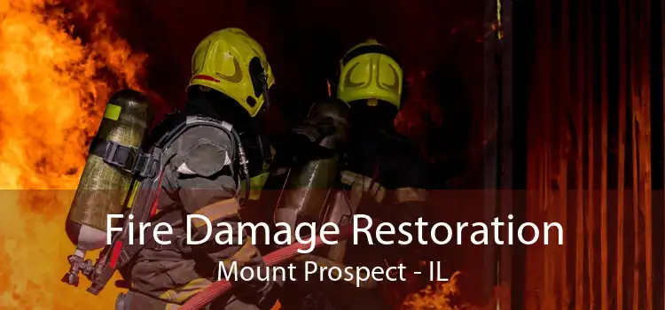 Fire Damage Restoration Mount Prospect - IL