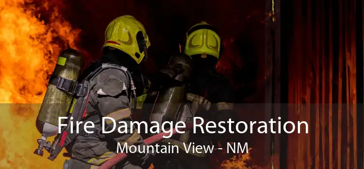 Fire Damage Restoration Mountain View - NM