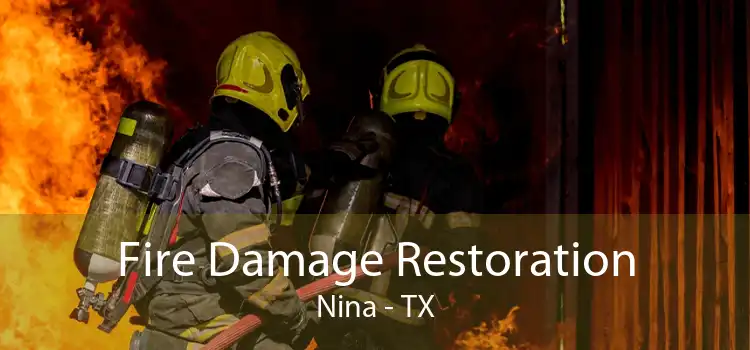 Fire Damage Restoration Nina - TX