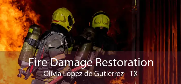 Fire Damage Restoration Olivia Lopez de Gutierrez - TX