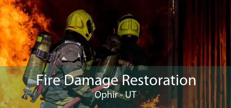 Fire Damage Restoration Ophir - UT