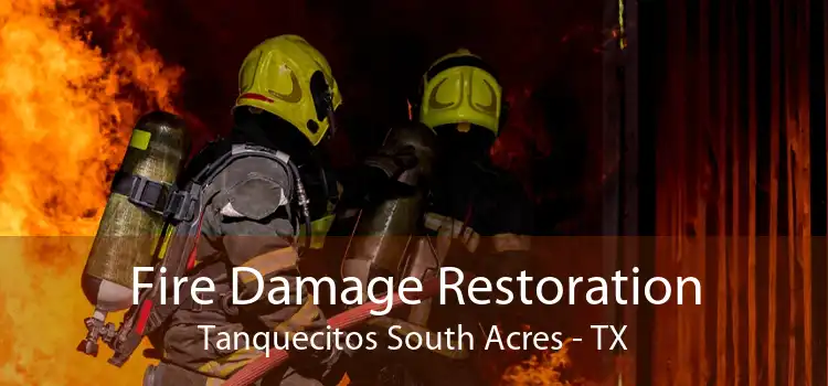 Fire Damage Restoration Tanquecitos South Acres - TX