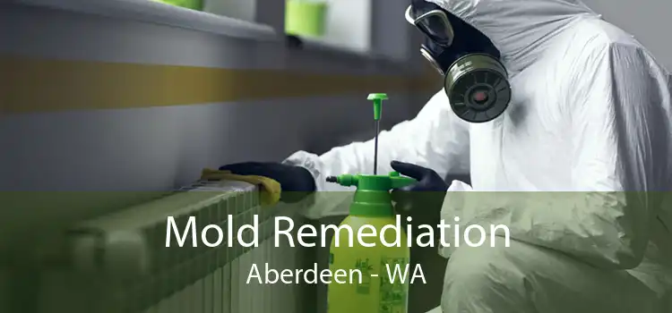 Mold Remediation Aberdeen - WA