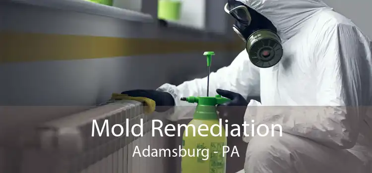 Mold Remediation Adamsburg - PA
