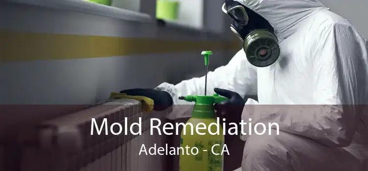 Mold Remediation Adelanto - CA