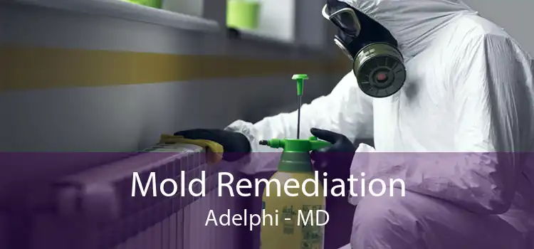 Mold Remediation Adelphi - MD