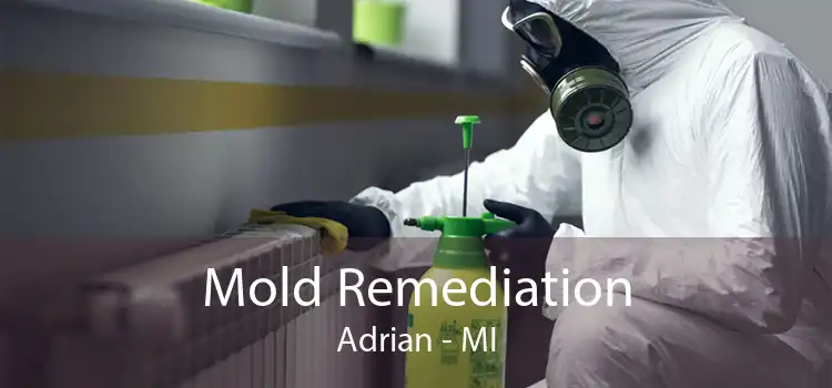 Mold Remediation Adrian - MI