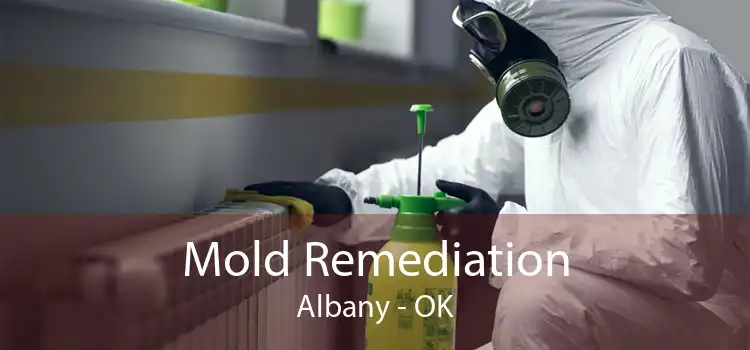 Mold Remediation Albany - OK