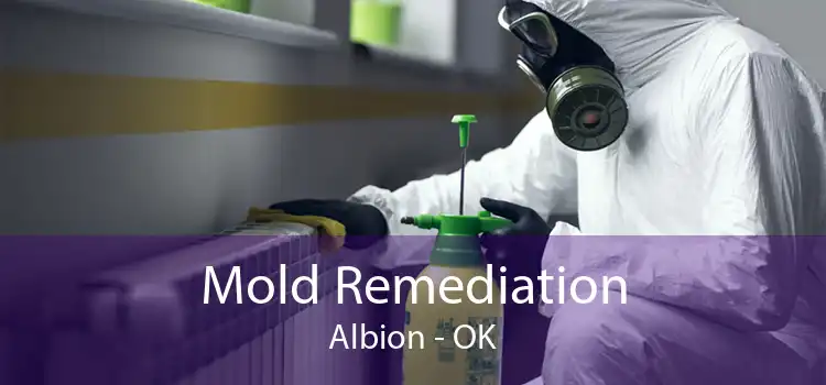 Mold Remediation Albion - OK