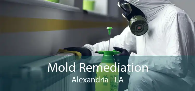 Mold Remediation Alexandria - LA