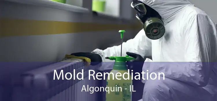 Mold Remediation Algonquin - IL