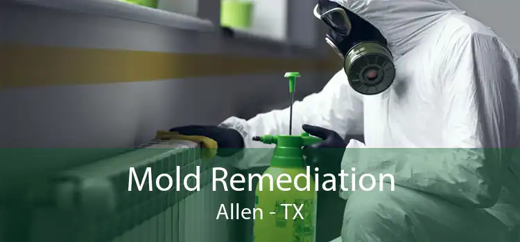 Mold Remediation Allen - TX