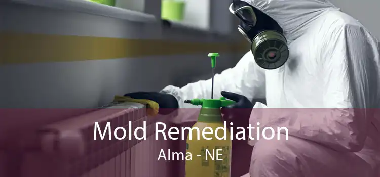 Mold Remediation Alma - NE