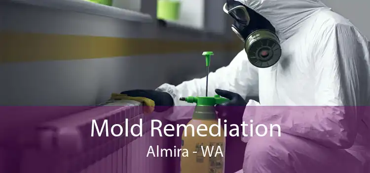 Mold Remediation Almira - WA