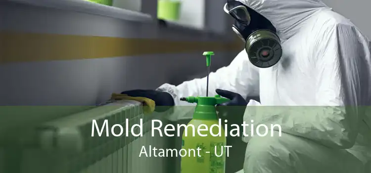 Mold Remediation Altamont - UT