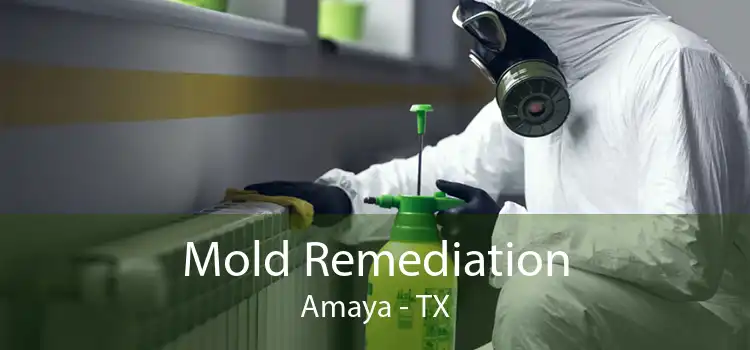 Mold Remediation Amaya - TX