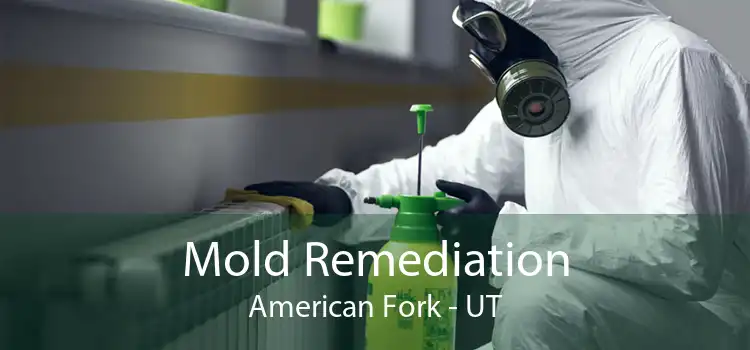 Mold Remediation American Fork - UT