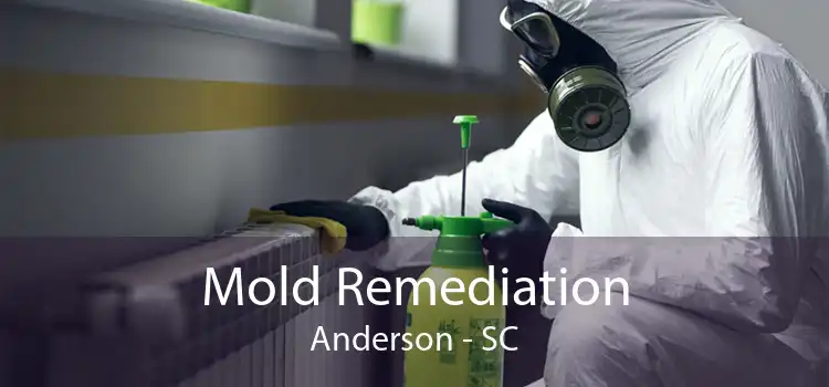 Mold Remediation Anderson - SC