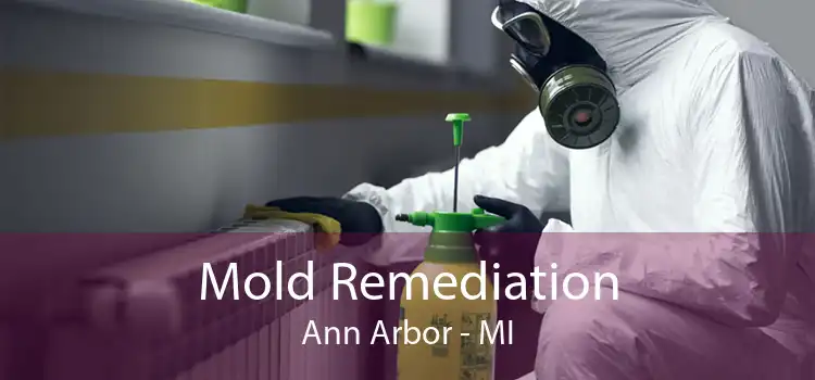 Mold Remediation Ann Arbor - MI