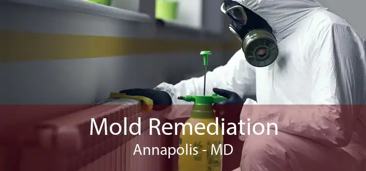 Mold Remediation Annapolis - MD