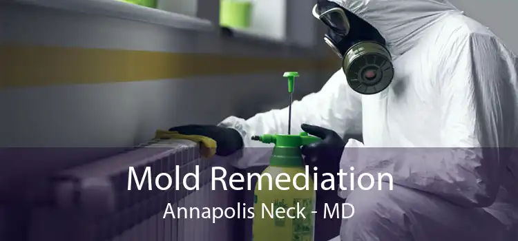 Mold Remediation Annapolis Neck - MD