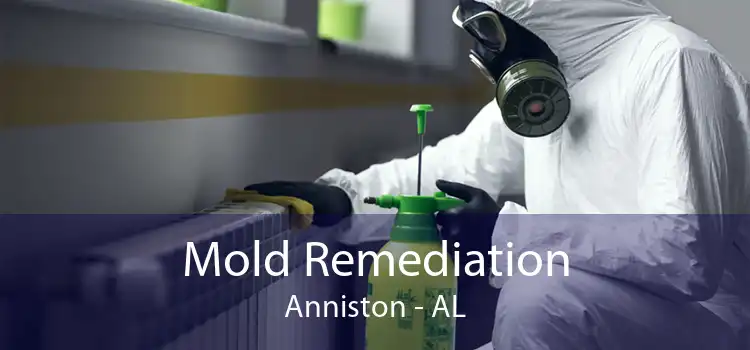 Mold Remediation Anniston - AL