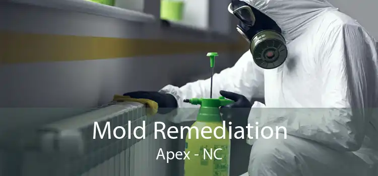 Mold Remediation Apex - NC