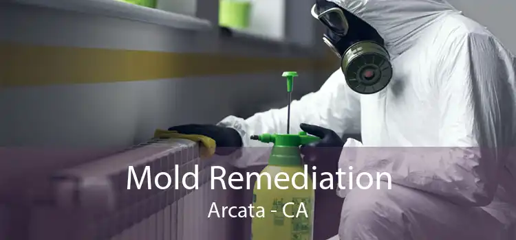 Mold Remediation Arcata - CA
