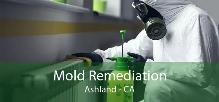 Mold Remediation Ashland - CA