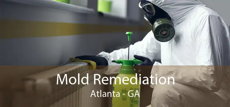 Mold Remediation Atlanta - GA