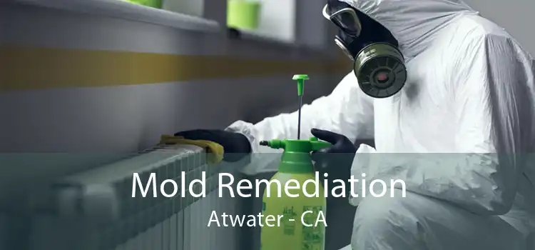 Mold Remediation Atwater - CA