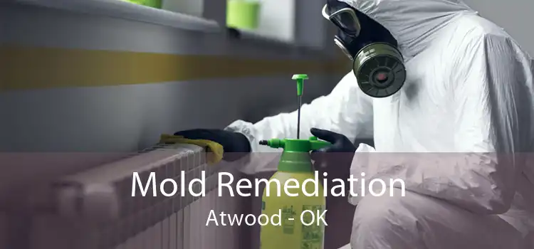 Mold Remediation Atwood - OK