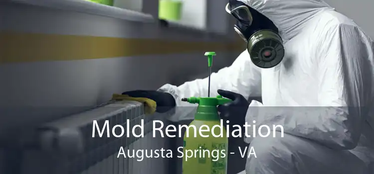 Mold Remediation Augusta Springs - VA