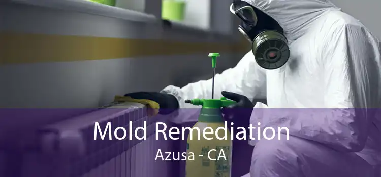 Mold Remediation Azusa - CA