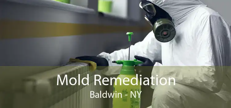 Mold Remediation Baldwin - NY