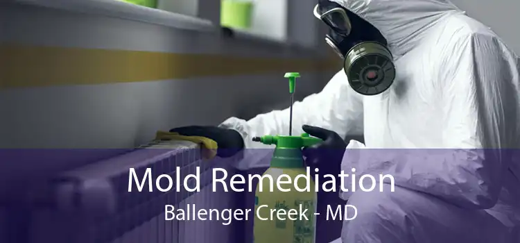 Mold Remediation Ballenger Creek - MD