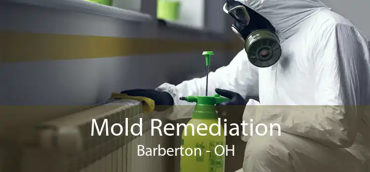 Mold Remediation Barberton - OH