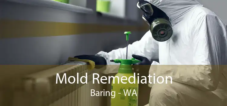 Mold Remediation Baring - WA
