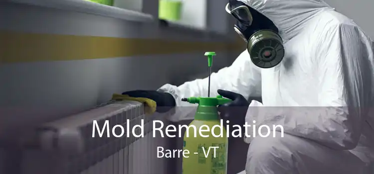 Mold Remediation Barre - VT