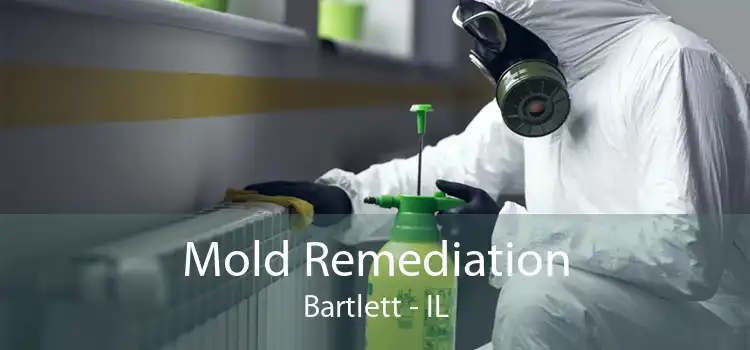 Mold Remediation Bartlett - IL