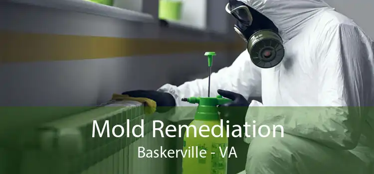 Mold Remediation Baskerville - VA
