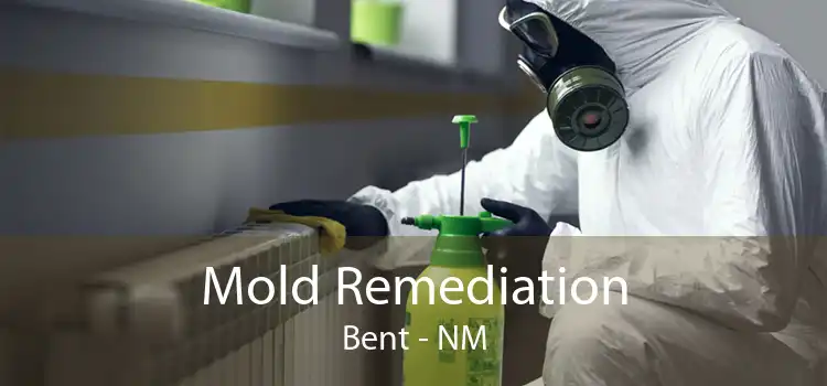 Mold Remediation Bent - NM