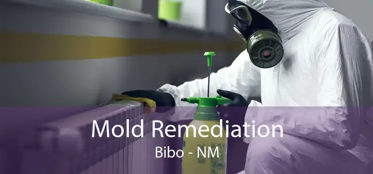 Mold Remediation Bibo - NM