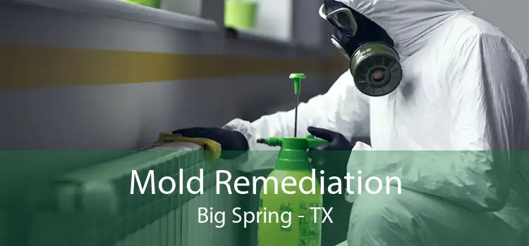 Mold Remediation Big Spring - TX