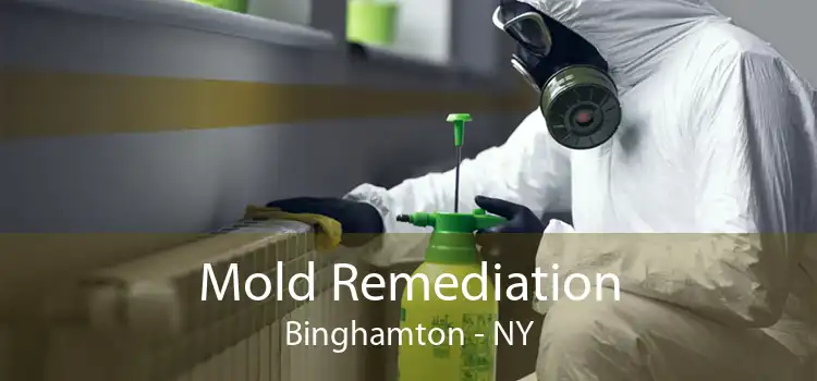 Mold Remediation Binghamton - NY