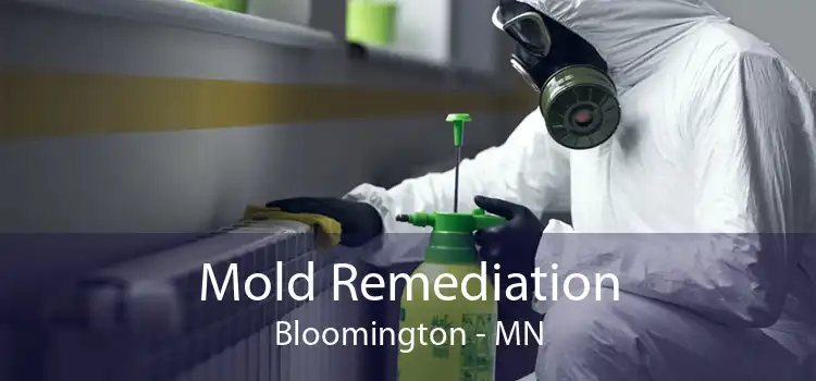 Mold Remediation Bloomington - MN